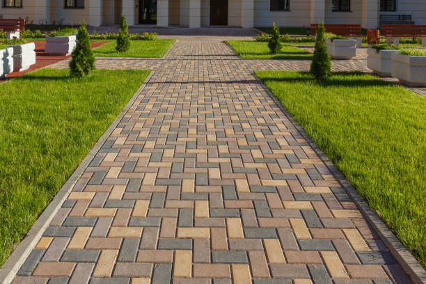 Best Driveway Paving Contractor  in Albion, IL